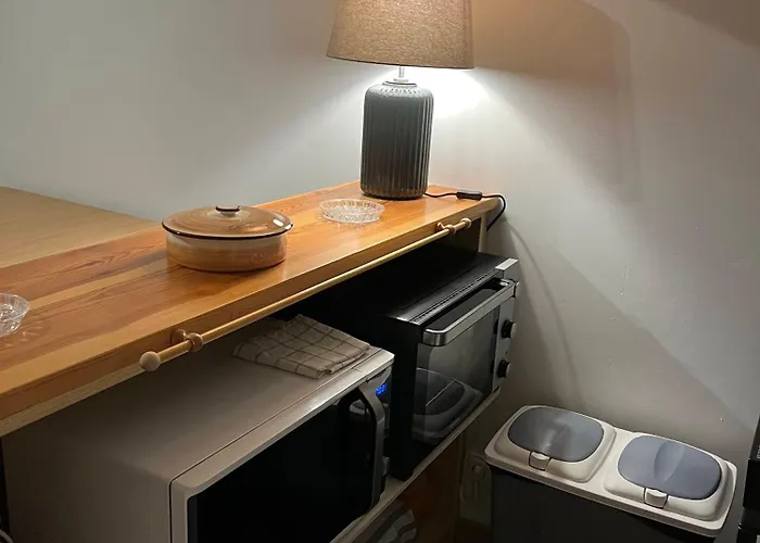 La Foux D - Avec Coin Montagne 4 Pers Refait A Neuf - Plein Sud - Internet Fibre Apartment